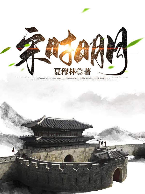《宋时明月》夏穆林的小说最新章节目录，叶尘,刘瘸子全文免费阅读