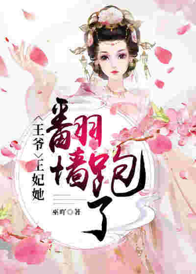 主角叫萧正则宁元婧王爷，王妃她翻墙跑了小说免费阅读