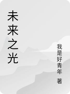 李海 张哥小说全文免费阅读，《未来之光》最新章节