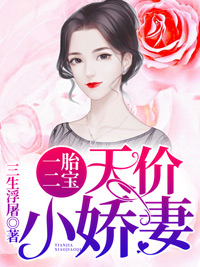 贺泽川泽川小说全文免费阅读，《一胎二宝：天价小娇妻》最新章节