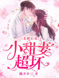 免费的小说《先婚后爱：小甜妻，超坏！》苏瑾苏念